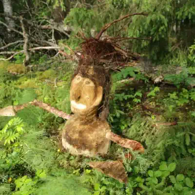 Puujumalpuisto 2024